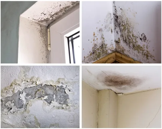 Damp and mould on a wall